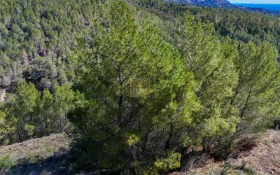 Parcela edificable en una Urbanización de Altea la Vella.