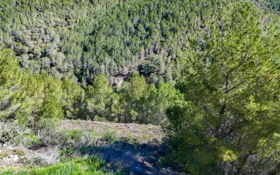 Parcela edificable en una Urbanización de Altea la Vella.