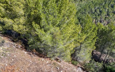 Parcela urbana con bonitas vistas al mar.