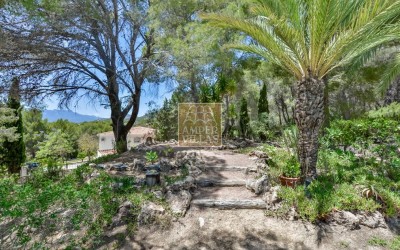 Exclusive villa in Altea offering complete privacy in a natural setting.
